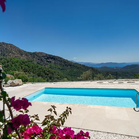 The Box House & Charming Private Tiny House & Pool * غوجيك