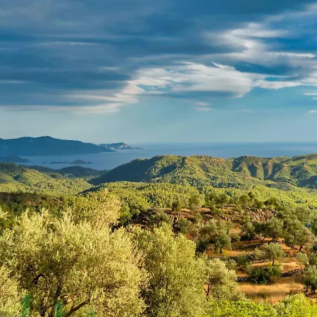 Villa The Box House & Charming Private Tiny House & Pool Gocek (Fethiye)